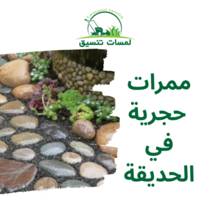 ممرات حجرية في الحديقة