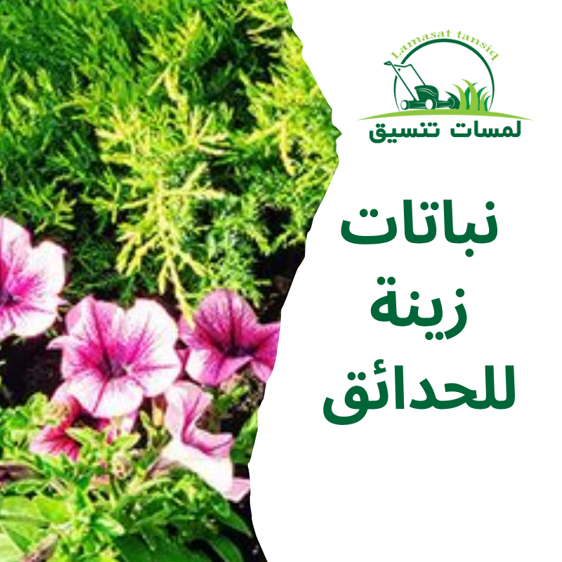 نباتات زينة للحدائق