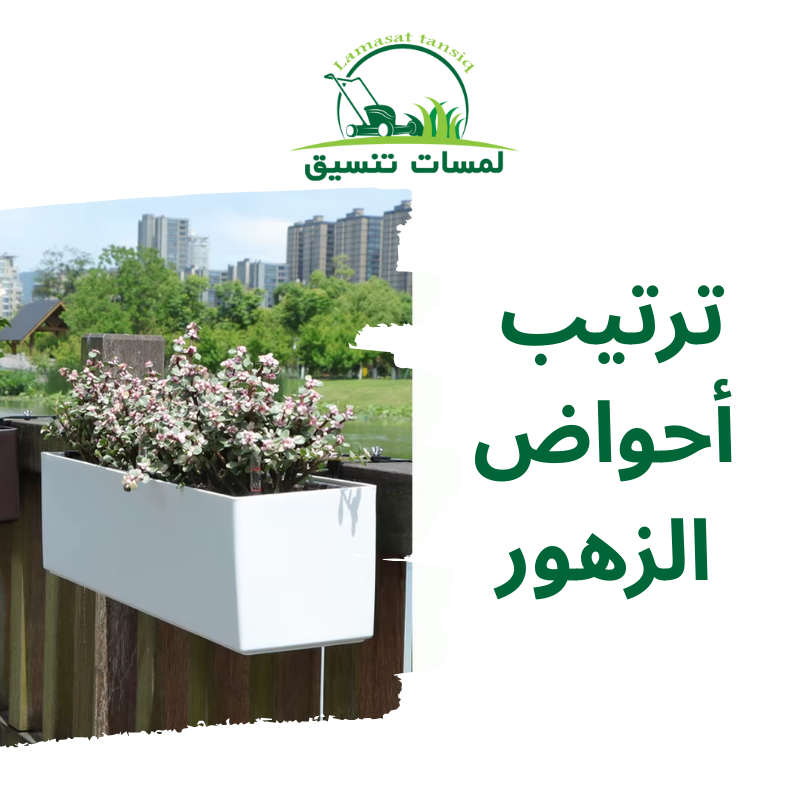 ترتيب أحواض الزهور