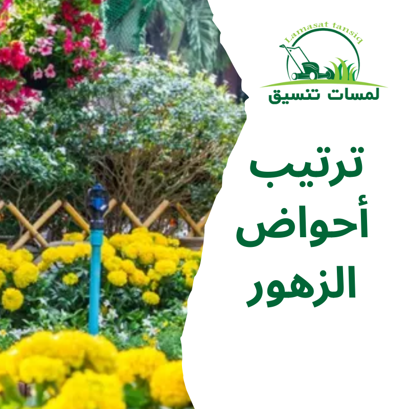ترتيب أحواض الزهور